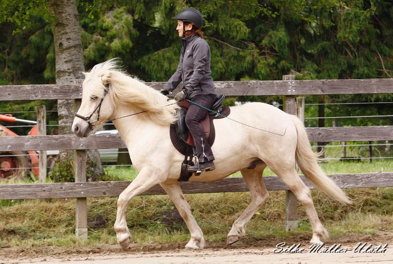 _MG_6432.jpg - Kjarkur von Heidmoor