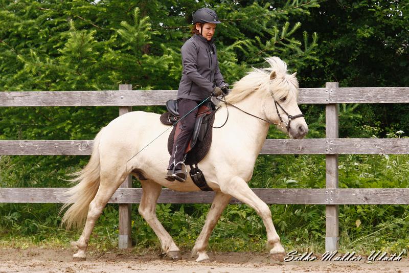 _MG_6462.jpg - Kjarkur von Heidmoor
