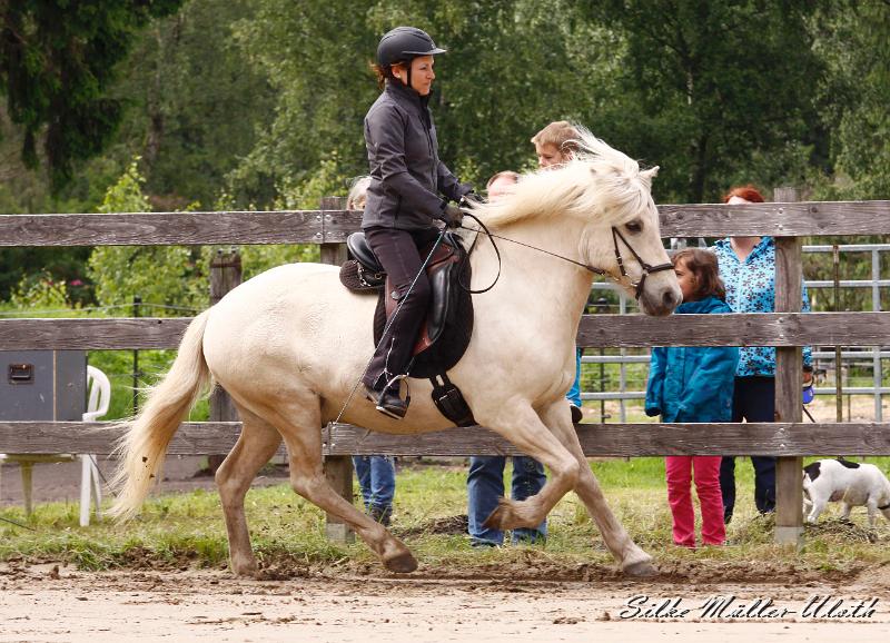 _MG_6466.jpg - Kjarkur von Heidmoor