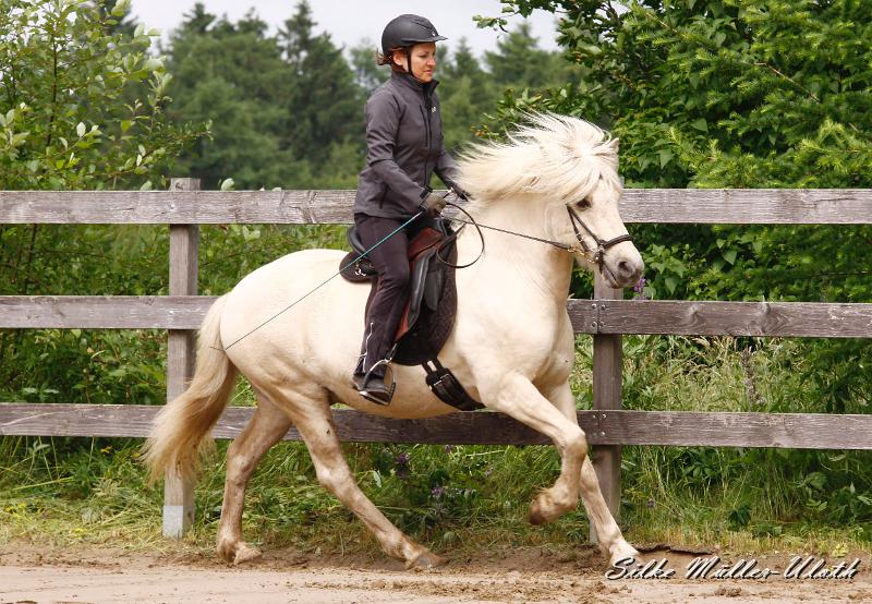 _MG_6479a.jpg - Kjarkur von Heidmoor