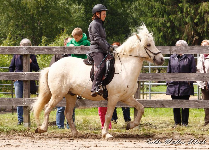 _MG_6486.jpg - Kjarkur von Heidmoor