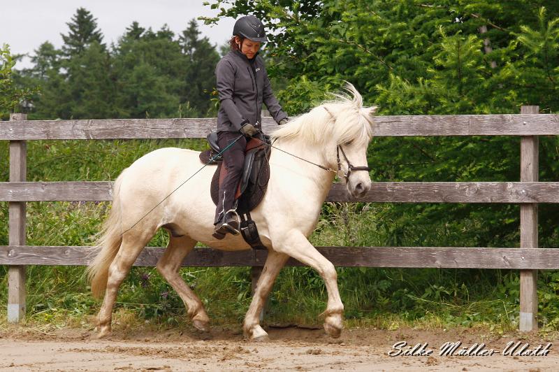 _MG_6533.jpg - Kjarkur von Heidmoor