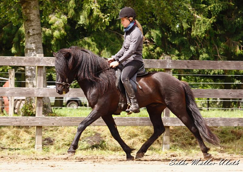 _MG_6558.jpg - Noah von Heidmoor