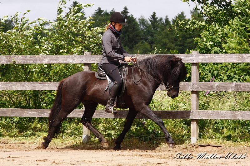 _MG_6574.jpg - Noah von Heidmoor