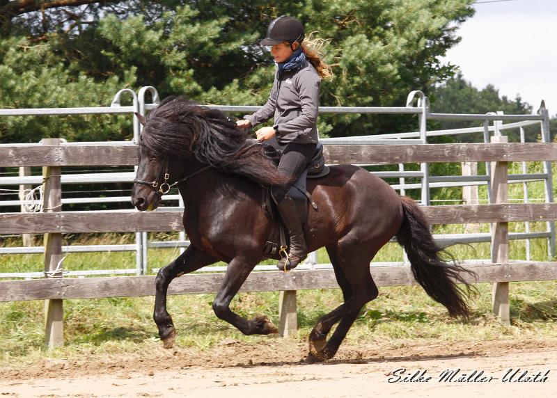 _MG_6606.jpg - Noah von Heidmoor