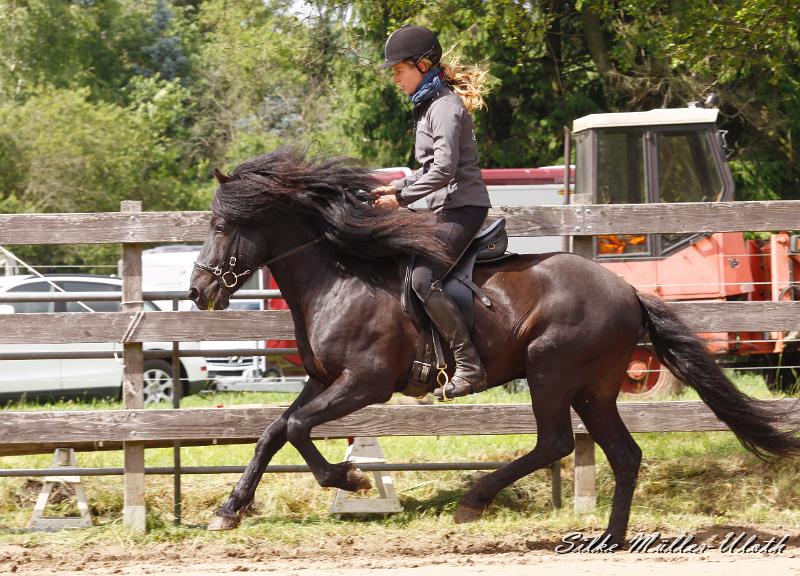 _MG_6616.jpg - Noah von Heidmoor