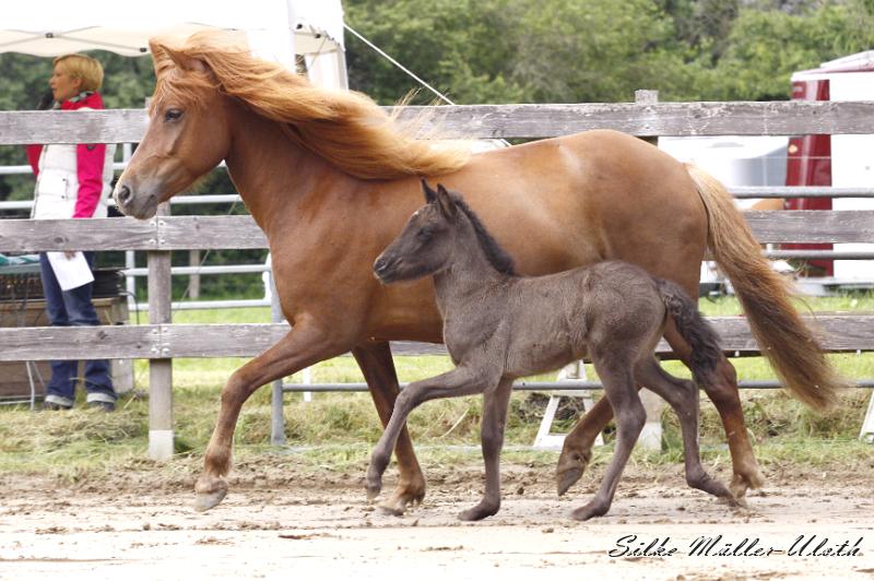_MG_6742.JPG - Rafael von Heidmoor und Runa von Heidmoor