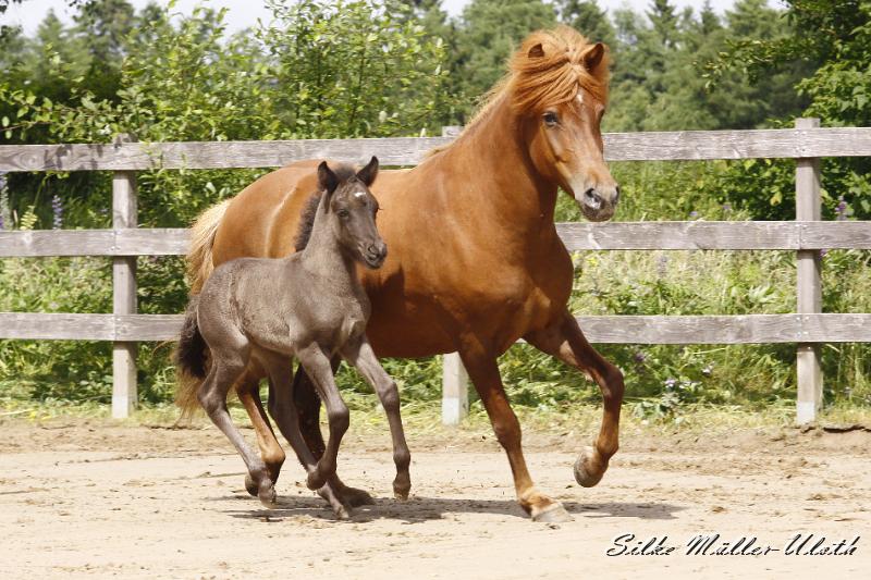 _MG_6787.JPG - Rafael von Heidmoor und Runa von Heidmoor