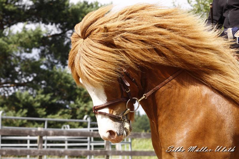_MG_6941.JPG - Heljar von Heidmoor
