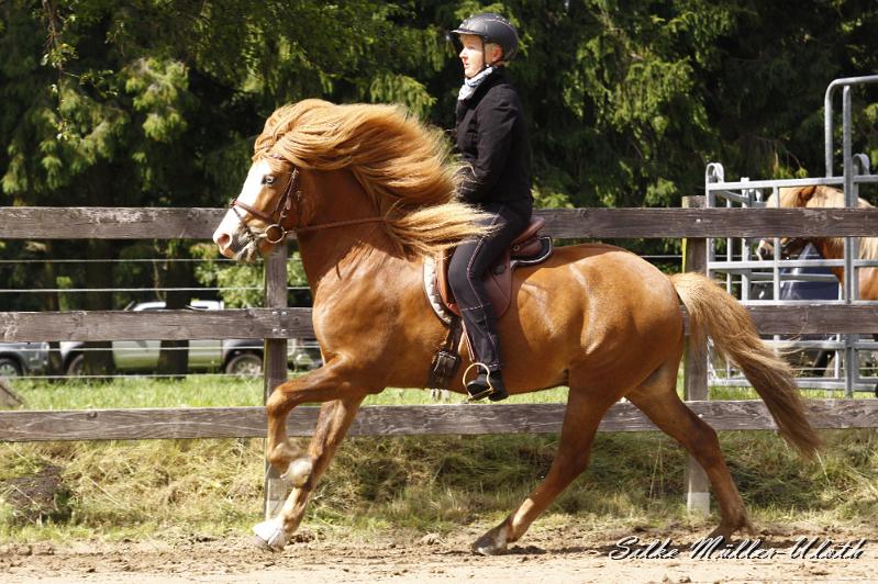 _MG_6945.JPG - Heljar von Heidmoor