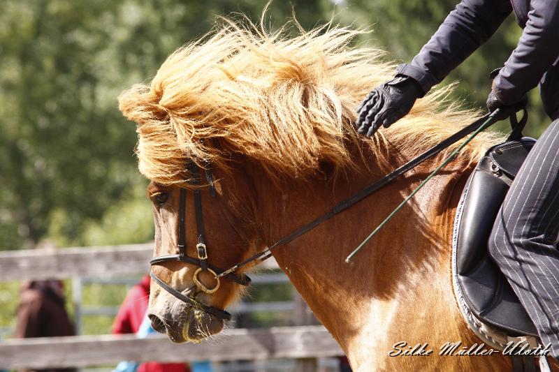 _MG_7077.JPG - Fjandi von Heidmoor