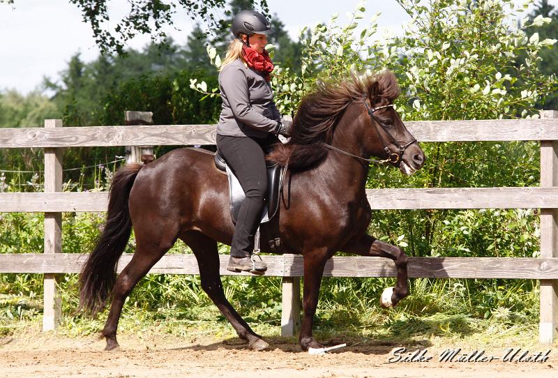 _MG_7090a.jpg - Venus von Heidmoor - Vater: Gumi fra Strandarhoefdi