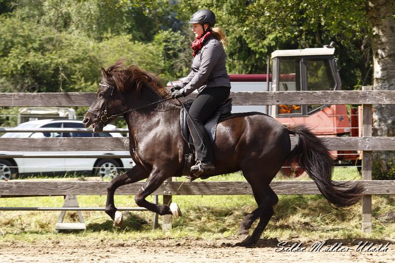 _MG_7119.JPG - Venus von Heidmoor