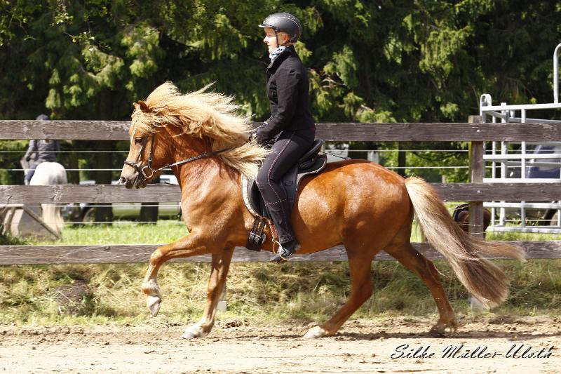 _MG_7194.JPG - Bjolan von Heidmoor