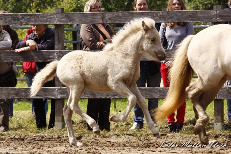 _MG_7291.JPG - Erla von Heidmoor