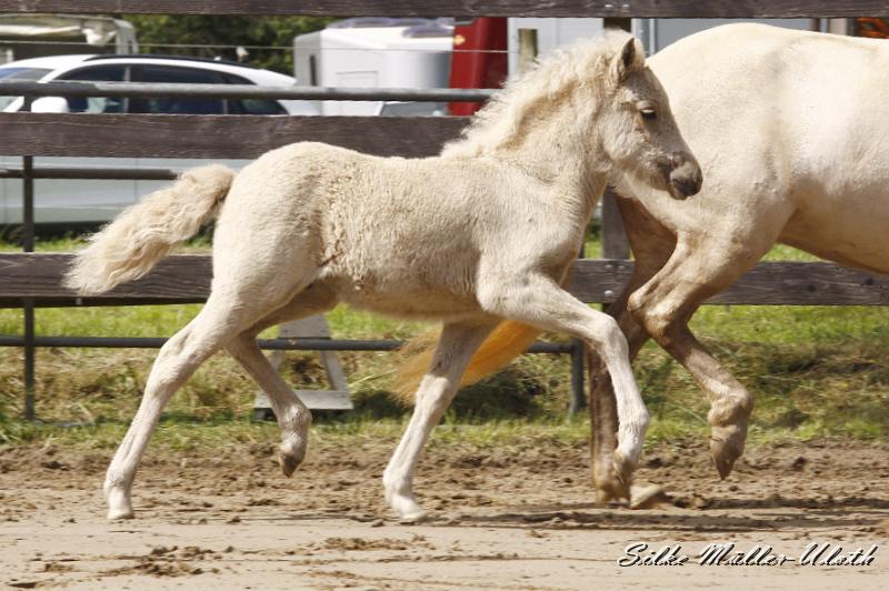 _MG_7299.JPG - Erla von Heidmoor
