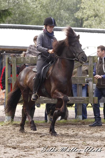 _MG_7370.JPG - Alvar fra Stora-Hofi