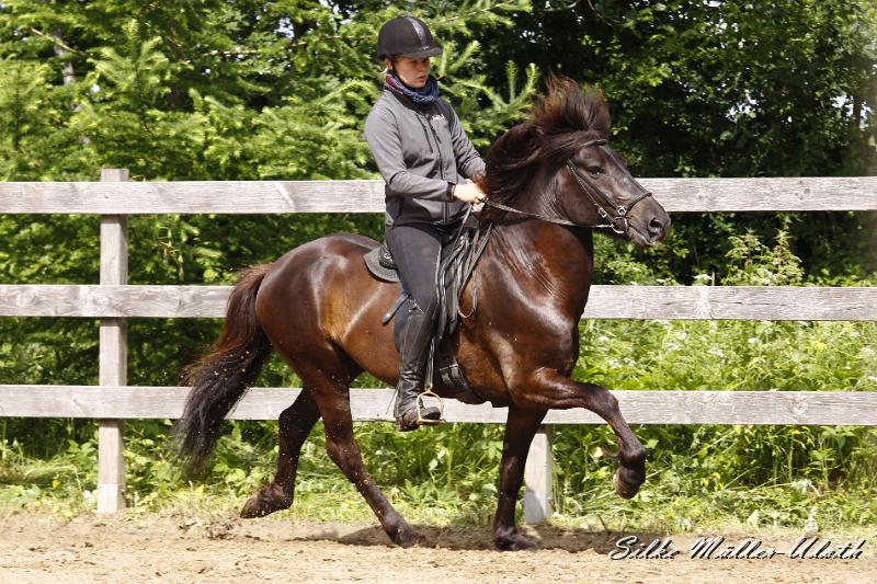 _MG_7398.JPG - Alvar fra Stora-Hofi