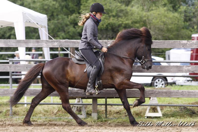 _MG_7447.JPG - Alvar fra Stora-Hofi